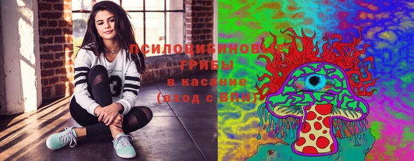 соль ск Магас